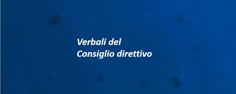 Verbali del Consiglio Direttivo – anno 2020