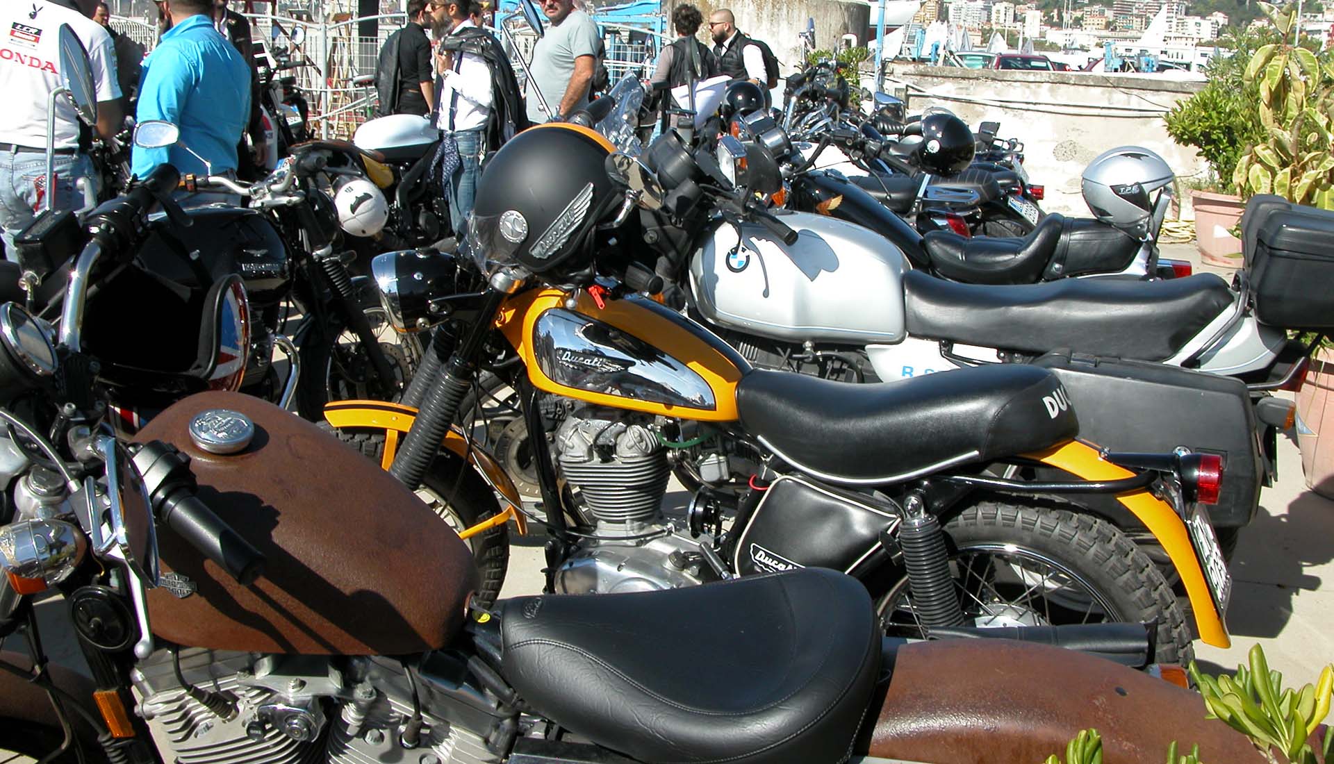 DGR 2016…